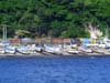 CIMG0567