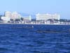 CIMG0569